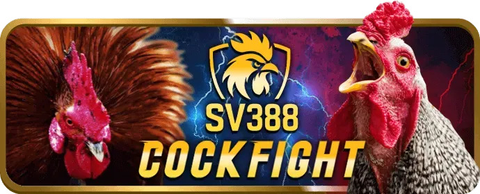 Đá Gà trực tuyến B29BET